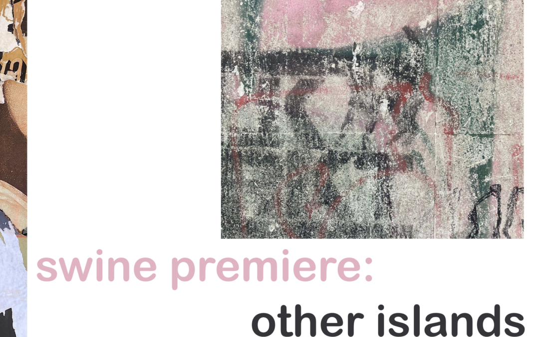 Swine Premiere: other islands