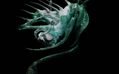 With „Free Falling“ EP Arekipe is launching a new label Brine Pool