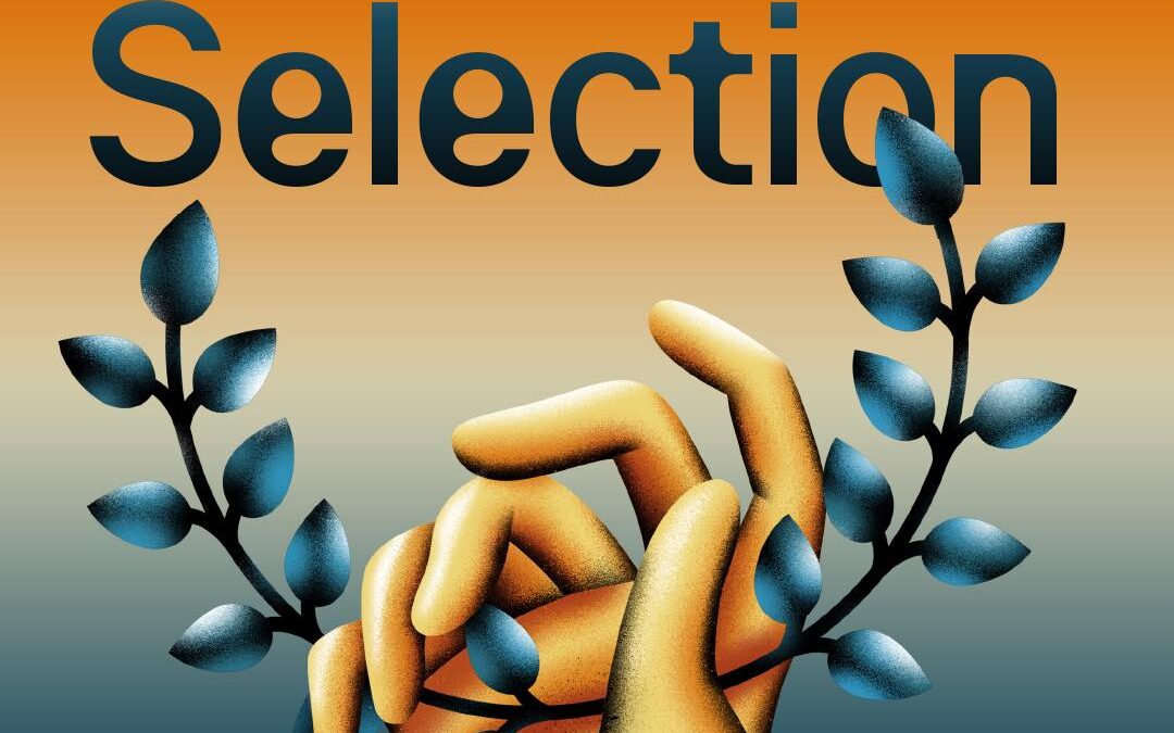 Medzi pravdou a fikciou: Fest Anča 2026 odhaľuje tému a spúšťa predpredaj